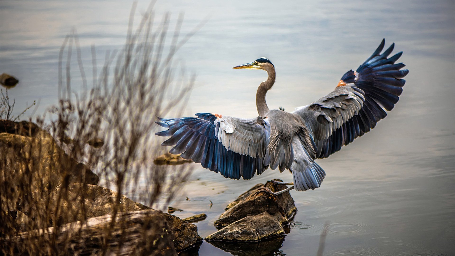 【大数据分析】投手和击球手的表现如何被“量化”？，投球后击掌算犯规么