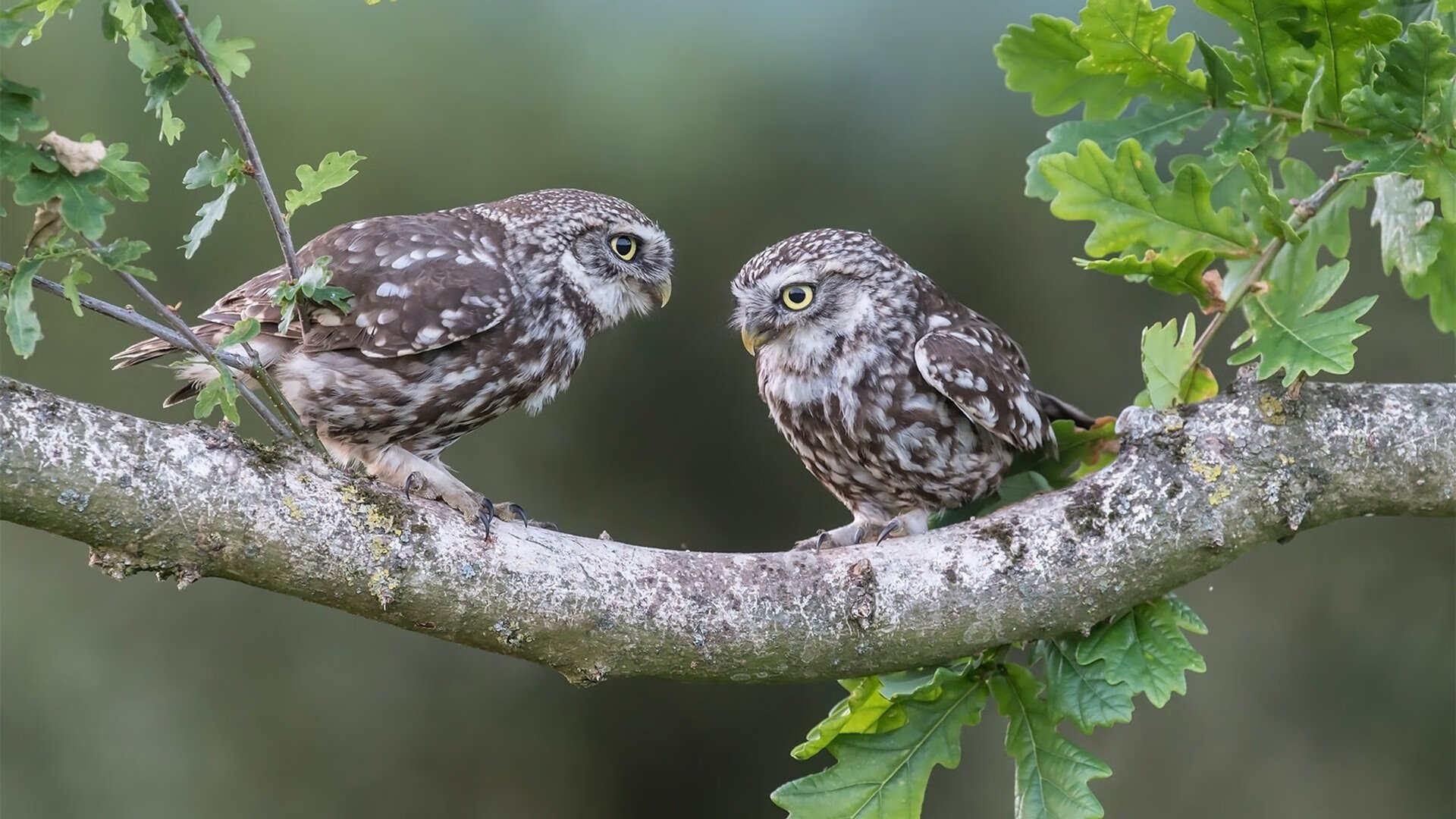 【大数据助力】如何让战术决策更科学、更精准?,战术决策案例
