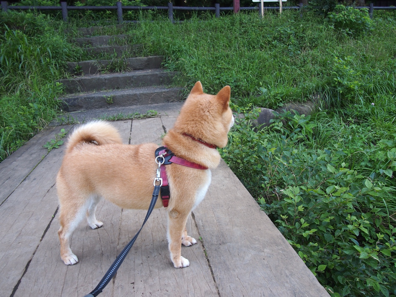 【大数据让比赛更科学】全方位数据指数助推赛场决策,大数据技能比赛都比什么