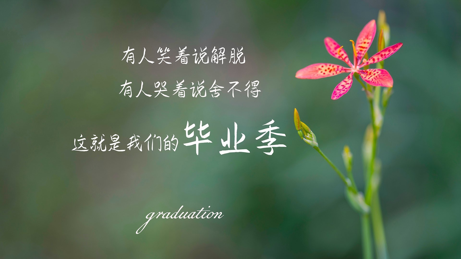 塞内加尔马术协会与科技公司合作，开发虚拟现实训练平台，提升骑手技能。