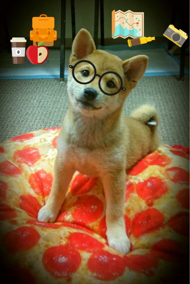 影响深远：NBA“科技赋能”带来的巨大变革