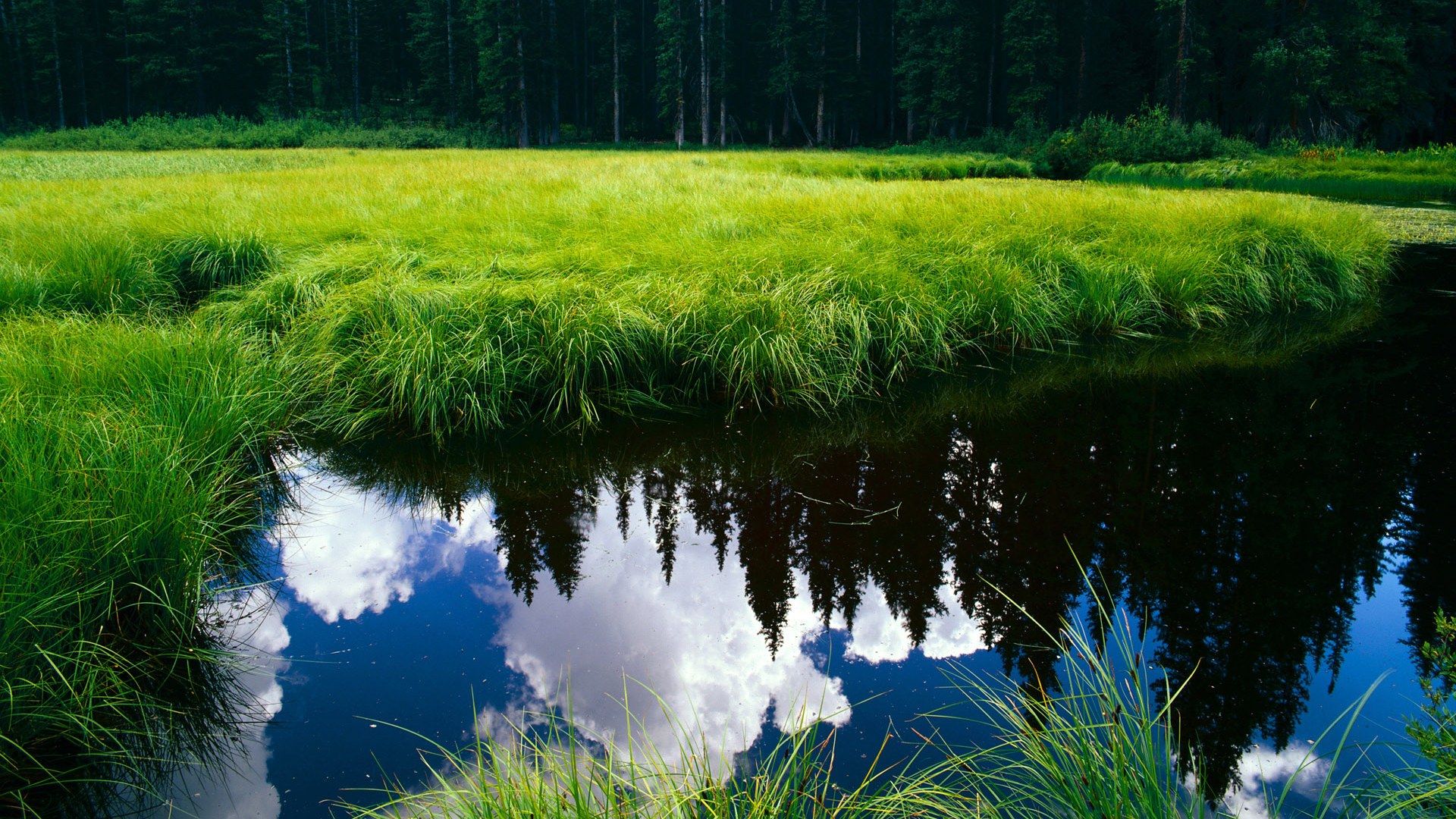 推动瑜伽与其他运动项目的融合发展，瑜伽与健身怎么结合