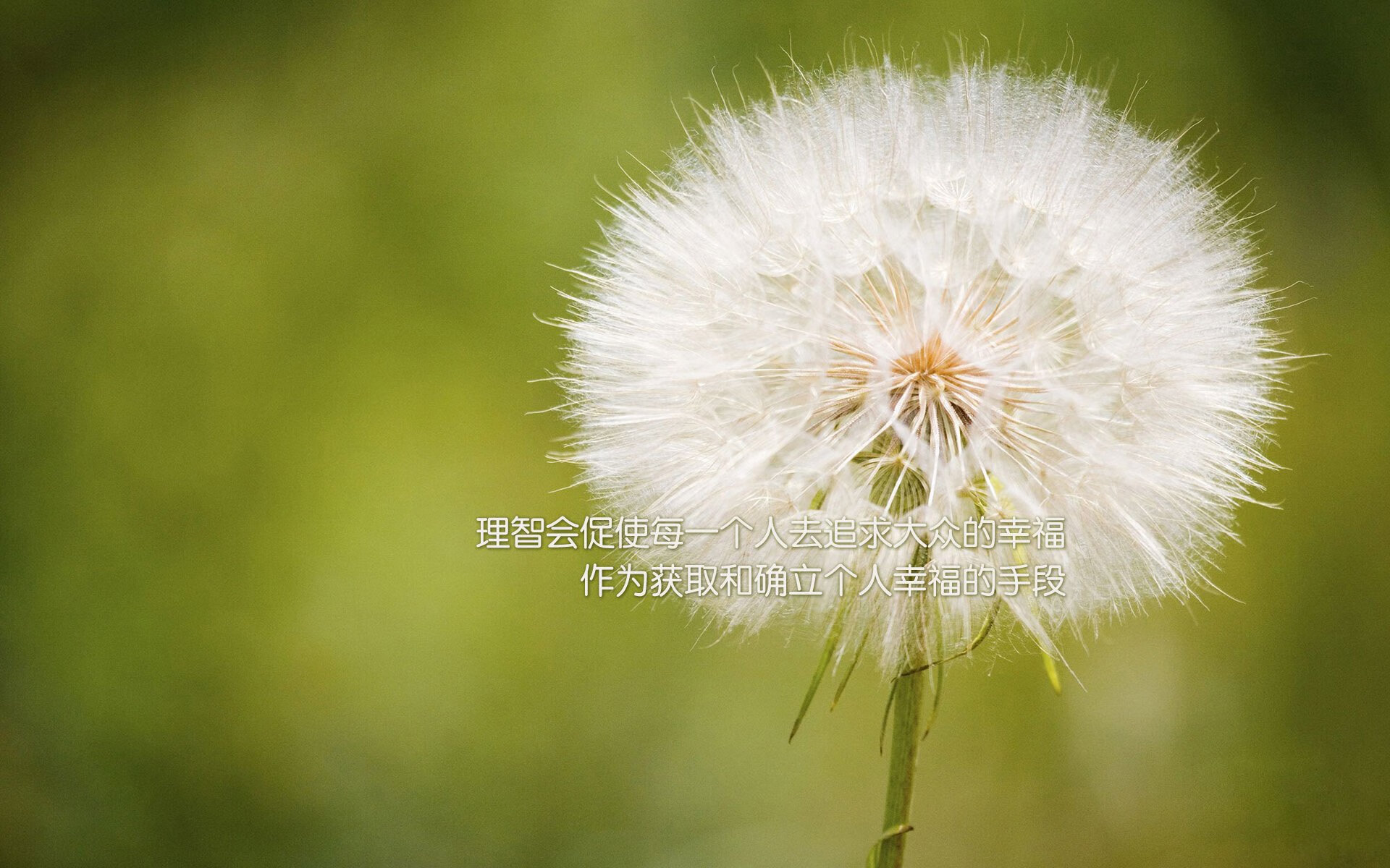 推荐观看：本周五不可错过的五场大战，周五比赛