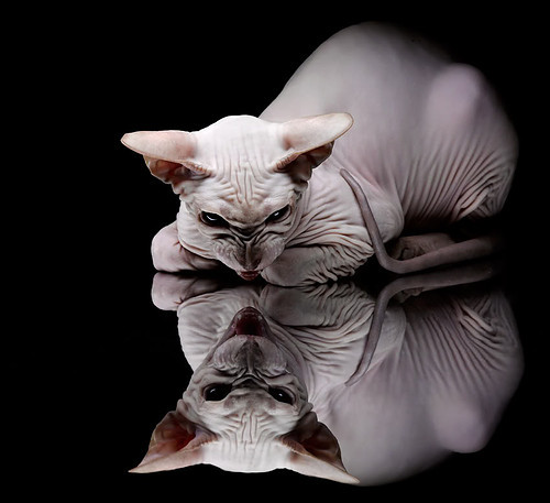 本季最佳冲刺瞬间盘点，赛季冲刺