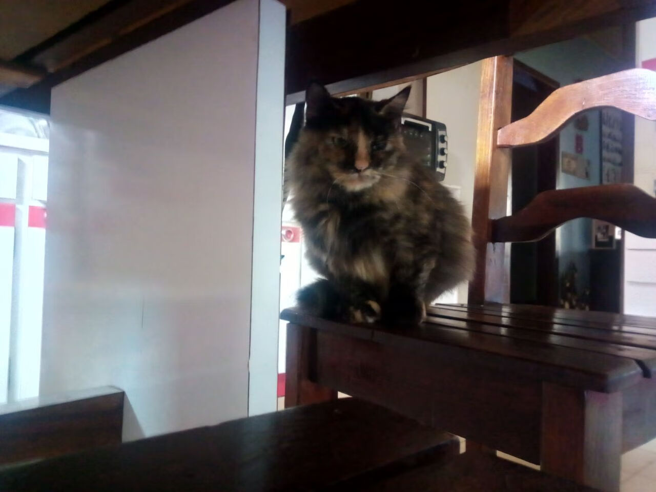 利物浦扩大领先,锁定欧冠四强席位,利物浦欧冠排名