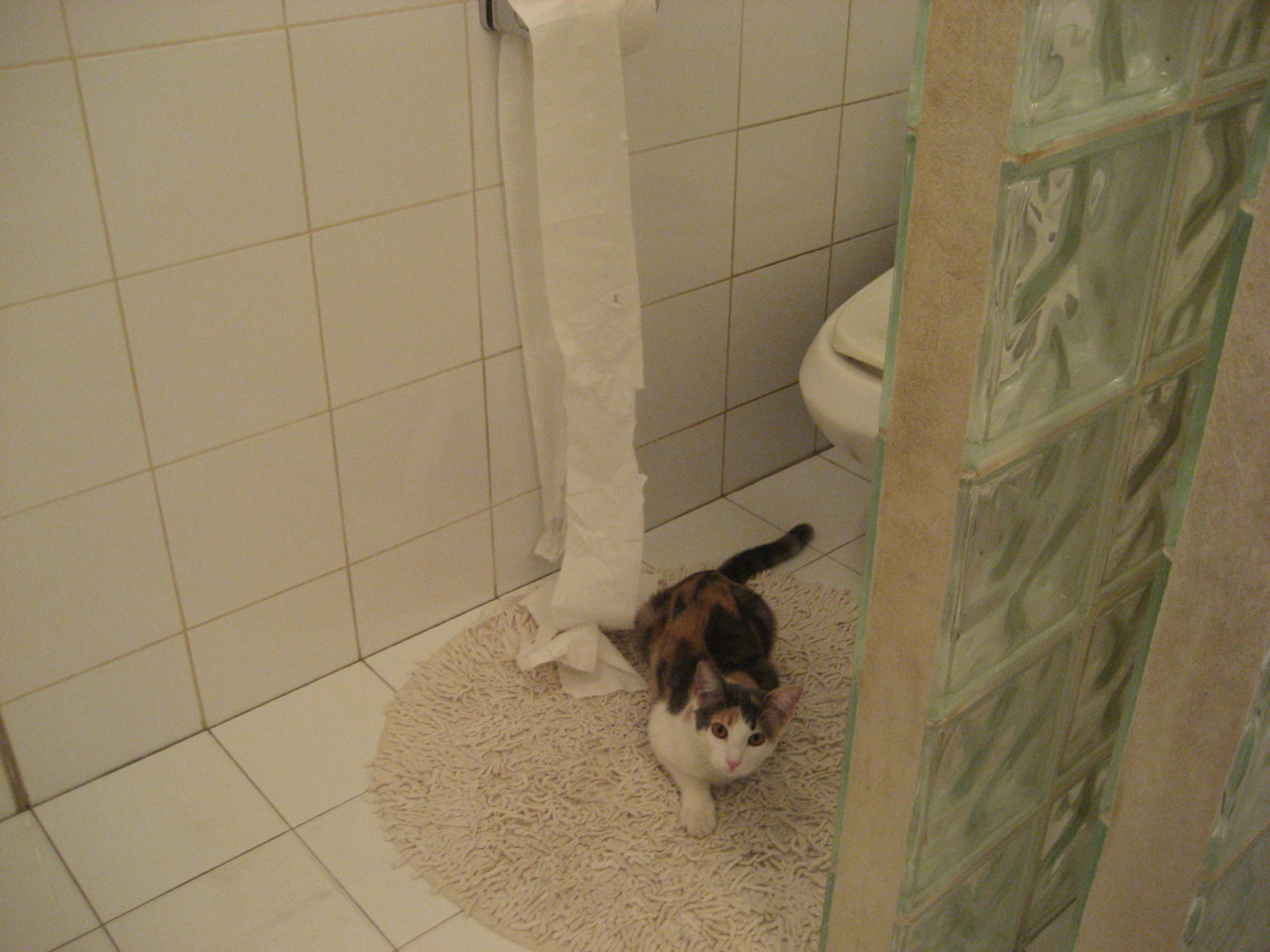 双方激战分钟,点球大战颇多惊险刺激,点球大战规则大小玩法