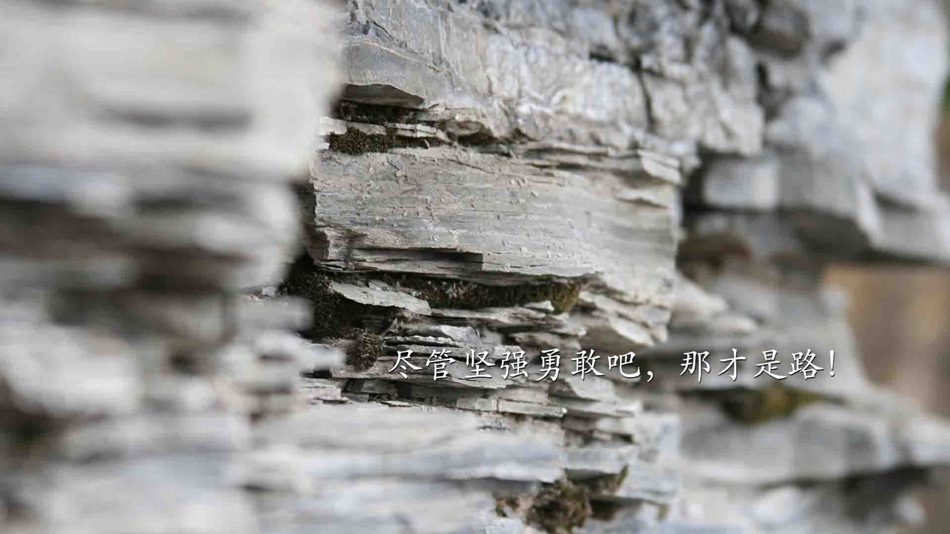 热刺惊险逆转，主场取胜提升排名，热刺进攻