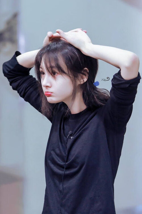 瑞士马术协会设立“Schwingfest”奖学金，支持传统马术研究。