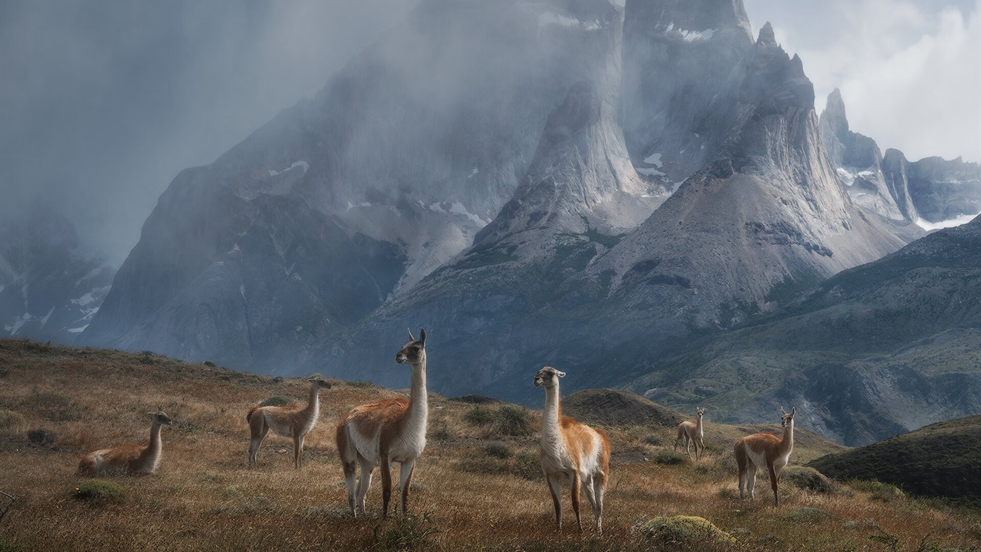 瑞士马术队在巴黎奥运会团体障碍赛中获得第四名,表现稳健。,瑞士骑马