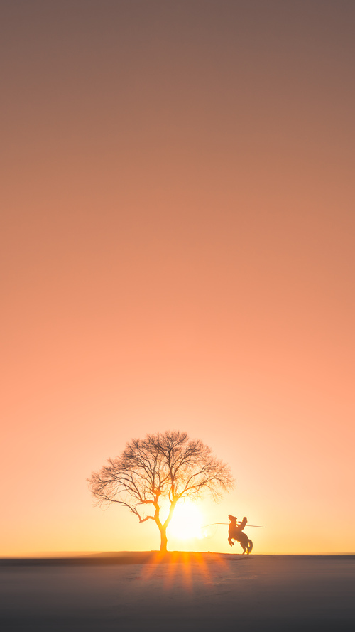 突发橄榄球员疑似违规事件，突发橄榄球员疑似违规事件怎么处理