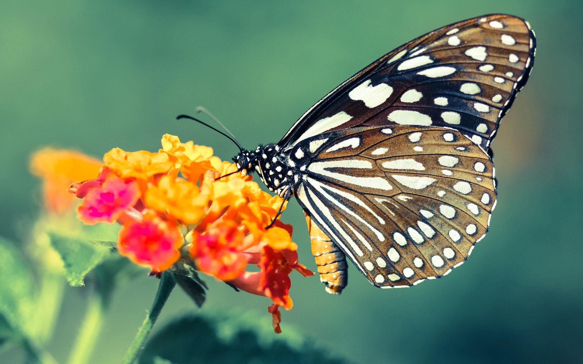 突发游泳馆水质引发争议，游泳馆检测到水质问题怎么办