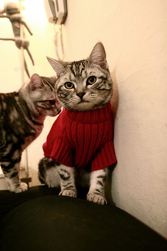 突发篮球裁判终场哨响前误操作,篮球场裁判各种情况下哨声