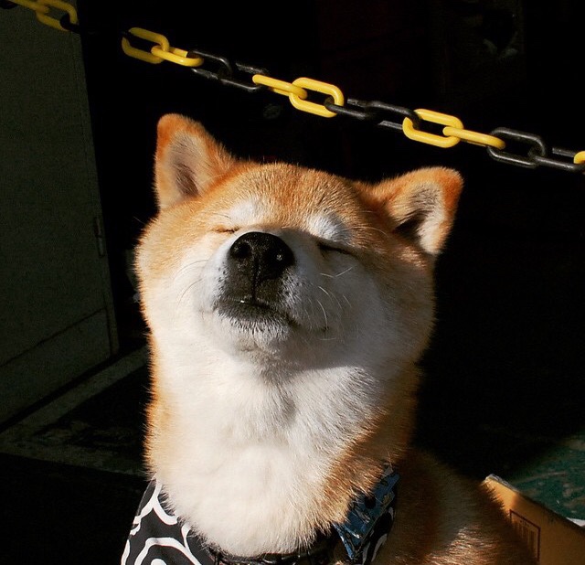 里尔客场憾平里昂，保住榜首位置，里尔联赛冠军