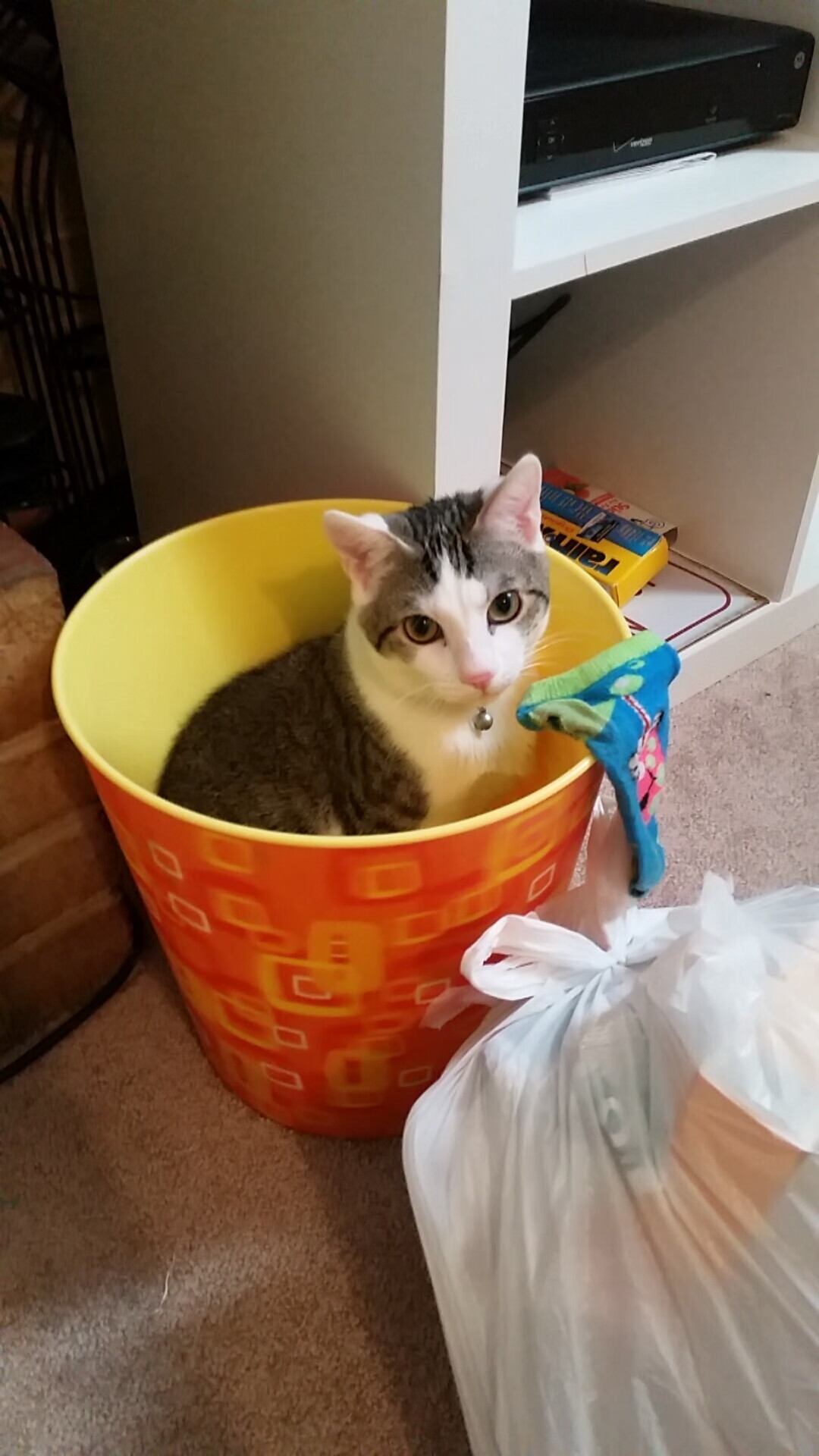 里尔客场战平里昂,延续不败纪录,里尔对里昂