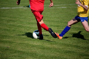 世界青少年自行车赛中国骑手再创佳绩，2020全国青少年自行车锦标赛