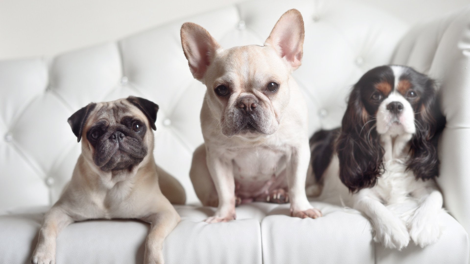 智能体育设备在校园的推广现状及问题对策,智能化体育器材