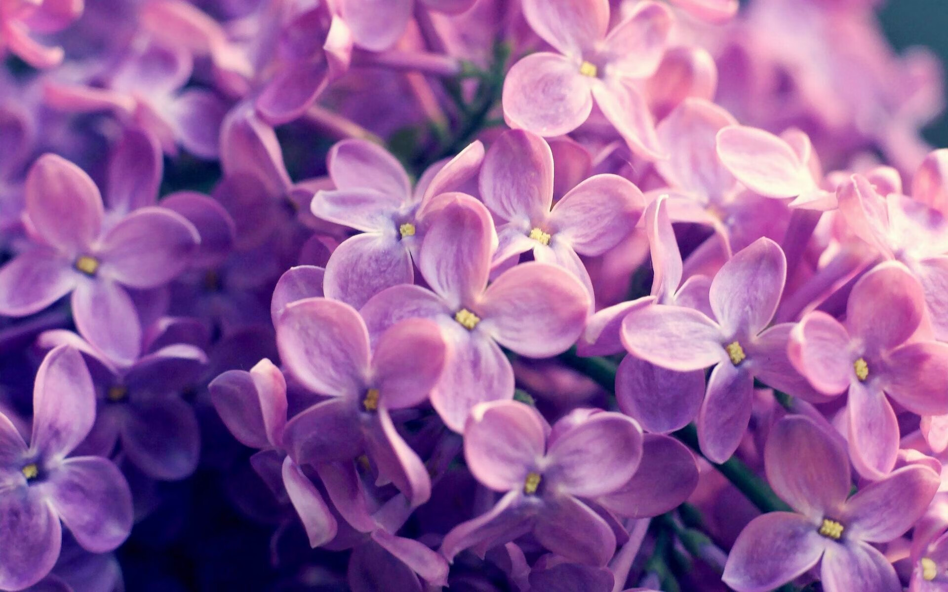 中国队发挥稳定 美澳临场战术取胜，中美澳军演