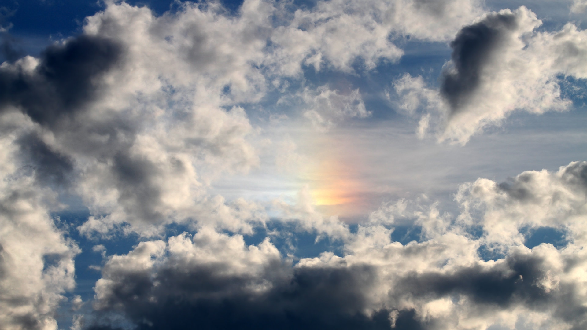 体育新闻中心启动体育宣传短视频编辑专项训练营,体育宣传片视频素材