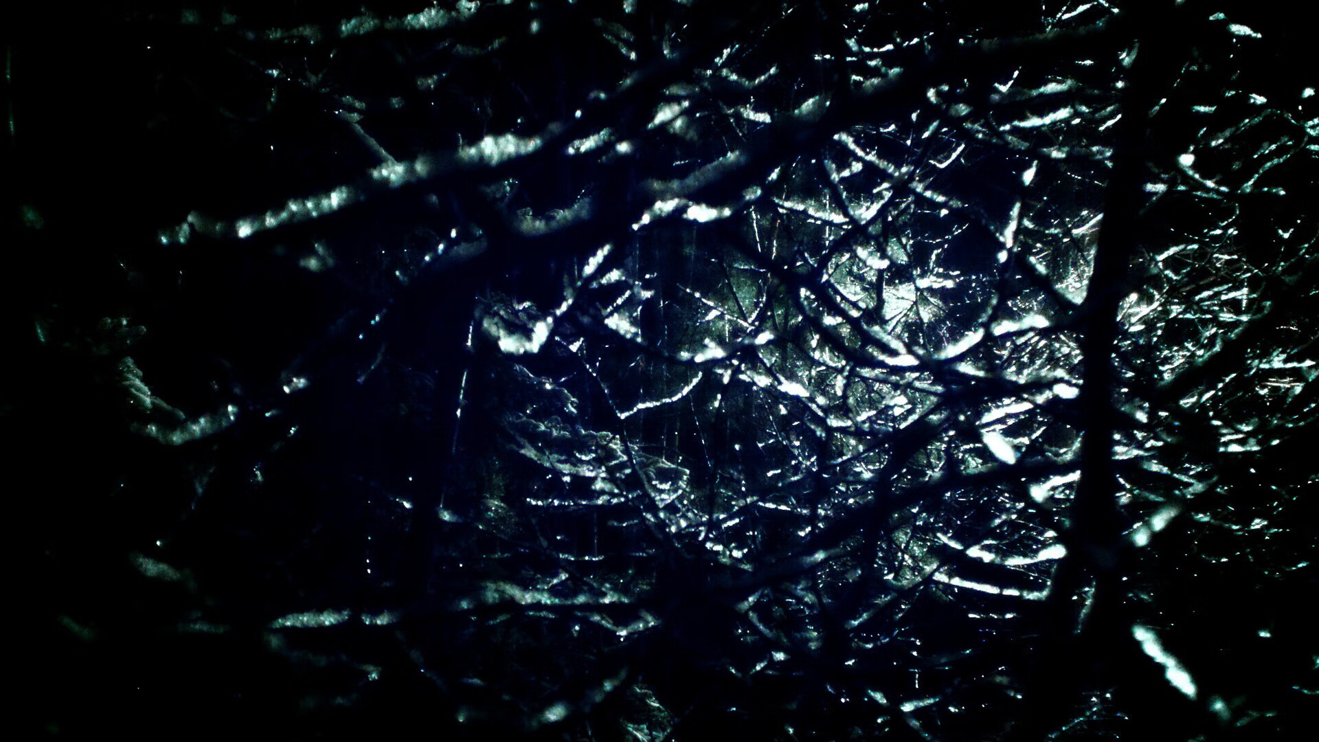 该项目选手技术动作柔和协调