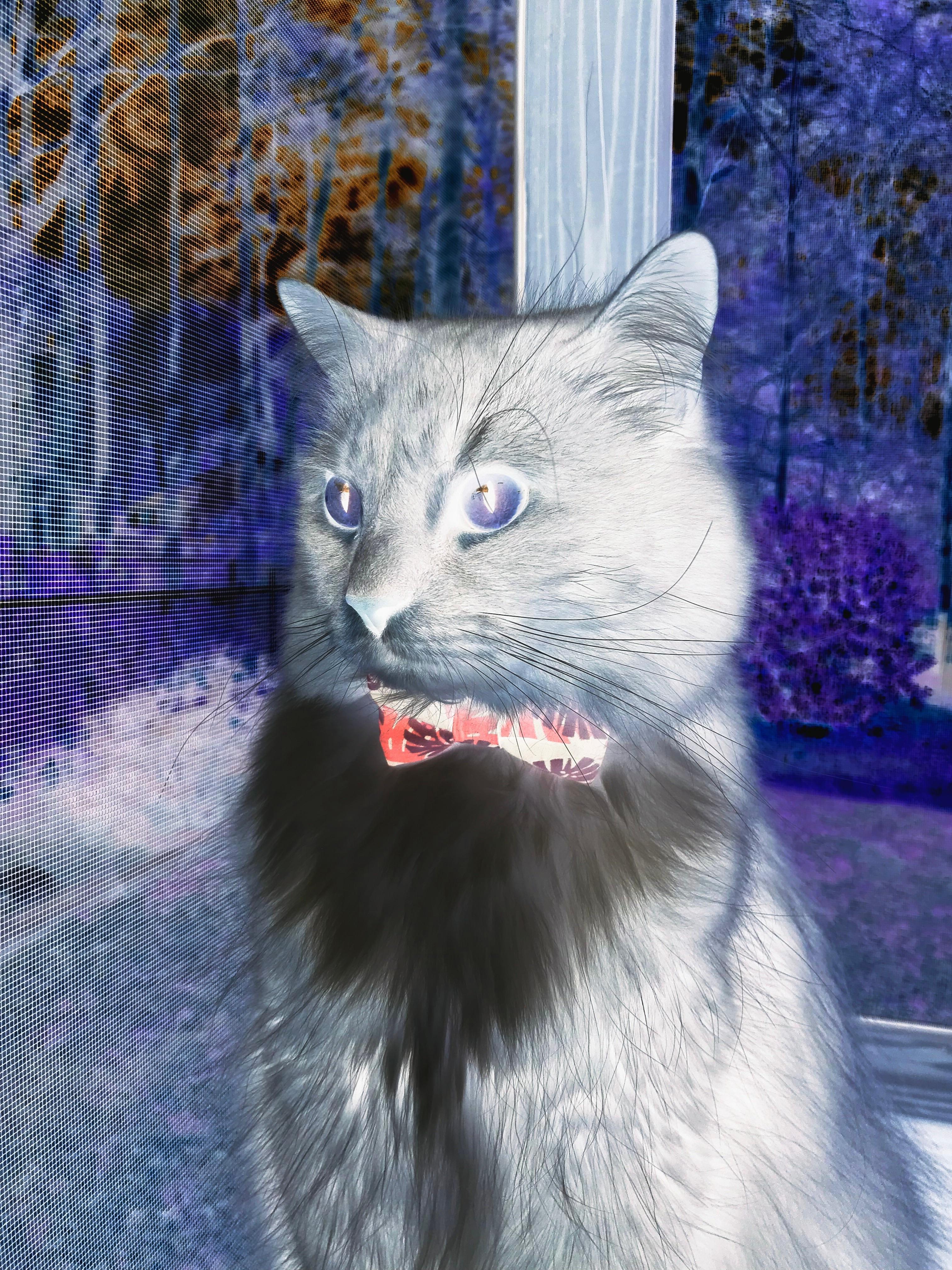 青少年足球缺乏长期跟踪档案管理，青少年足球训练现状