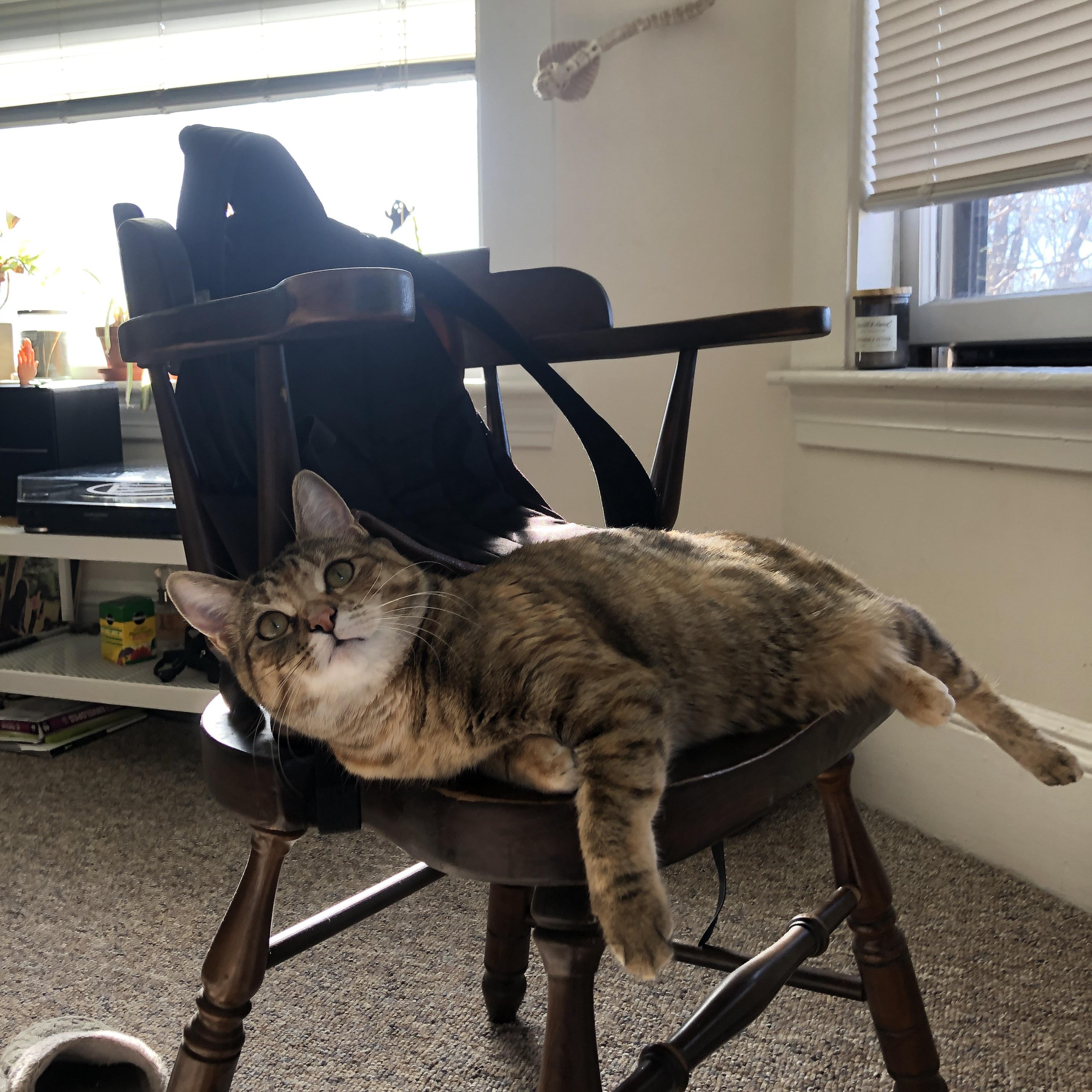 意甲快速反击：瞬间破门震撼全场！，意甲谁能打爆这条防线