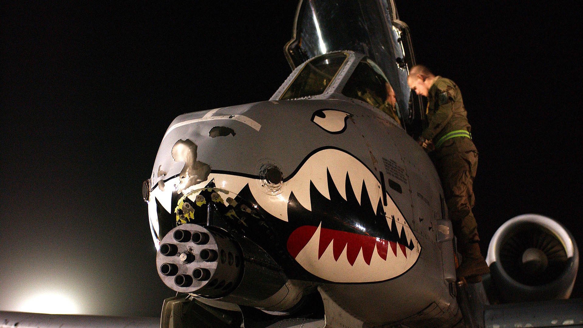 美洲杯先锋队：攻势逼人引领潮流，美洲美洲杯