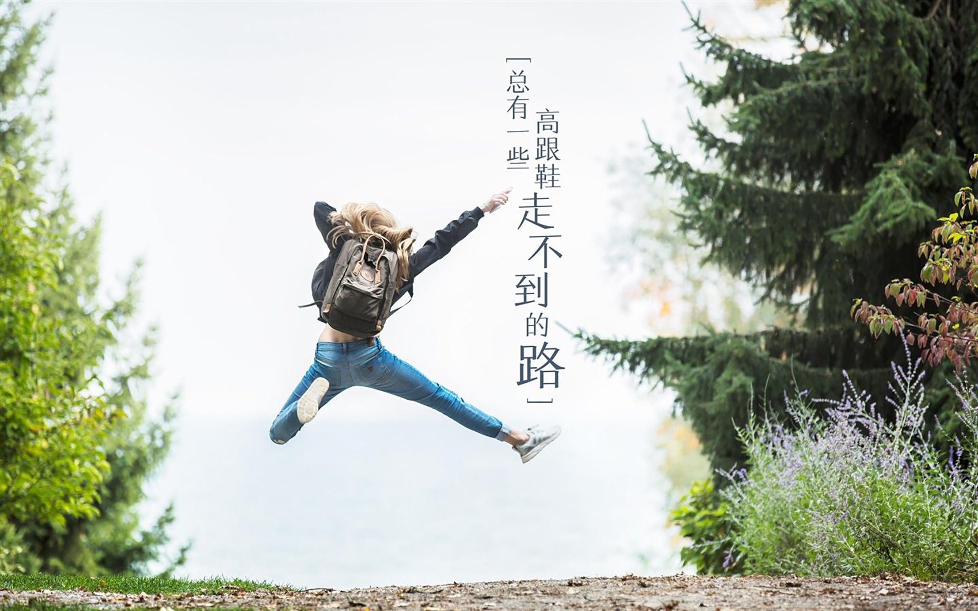 职业球队赛前发布战术安排提升球迷观赛理解深度，球队比赛规则