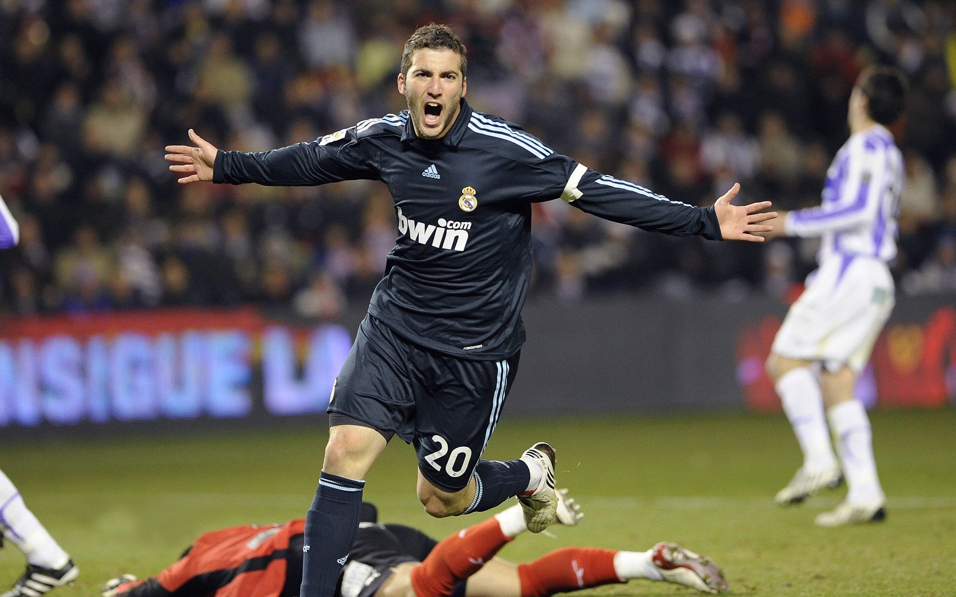 _极地冰原赛车：在雪海中追逐速度_，极地冰原上映时间